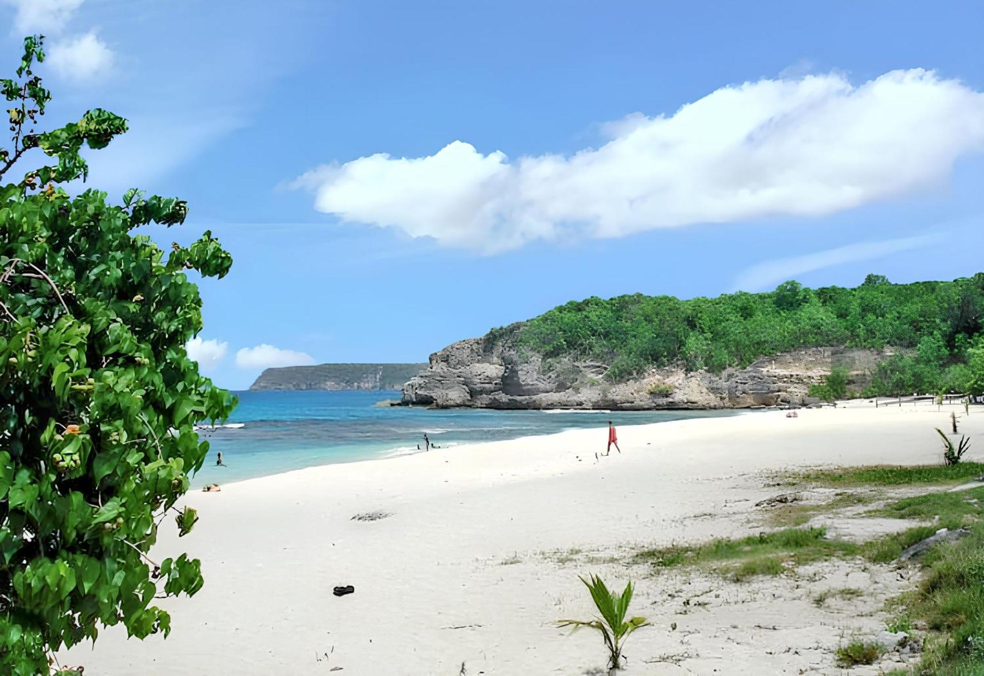 Maison Charmante A Anse-Bertrand Avec Jardin Villa Екстериор снимка